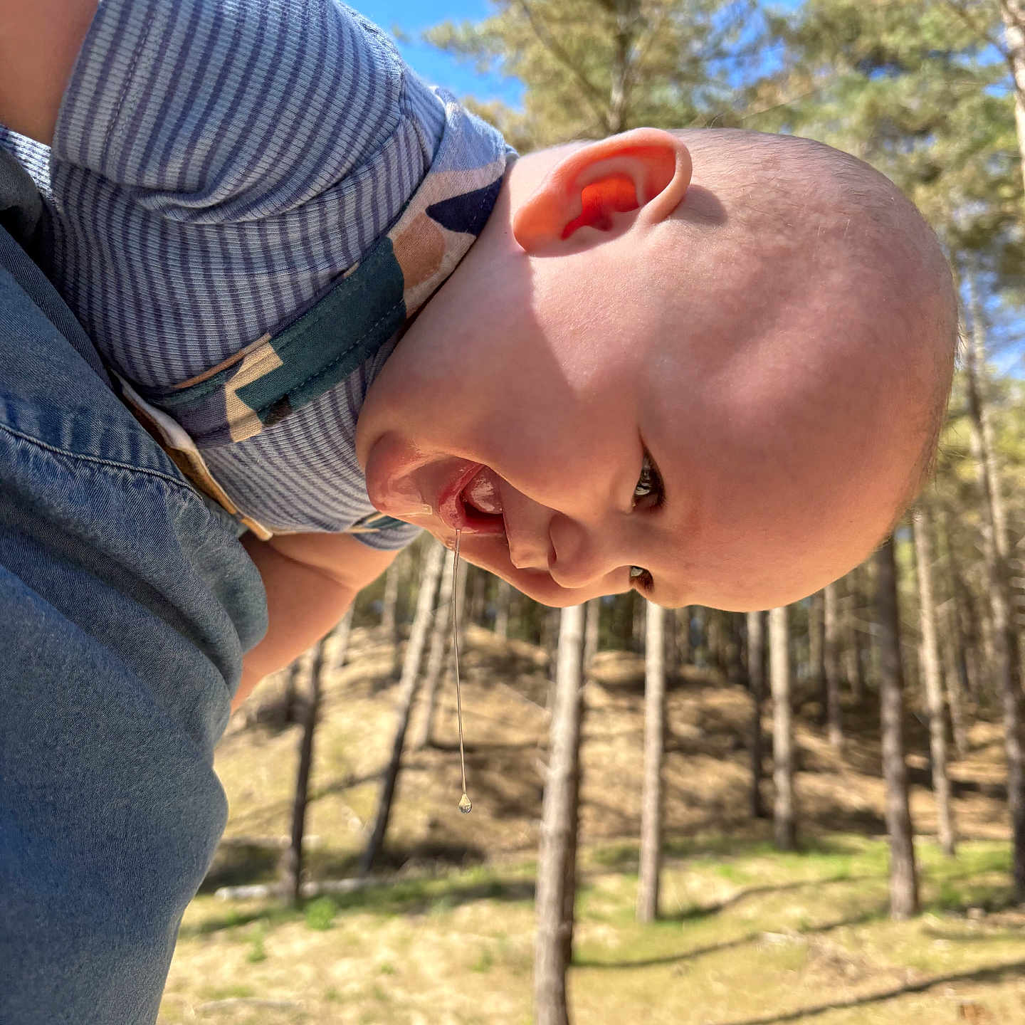 Ozzie is registered to the contest to win money with this photo: baby, blue_sky, casual_clothing, child, cute, daytime, drool, expression, face, forest, happy, head, laughing, nature, outdoor, person, portrait, skin, sunlight, trees