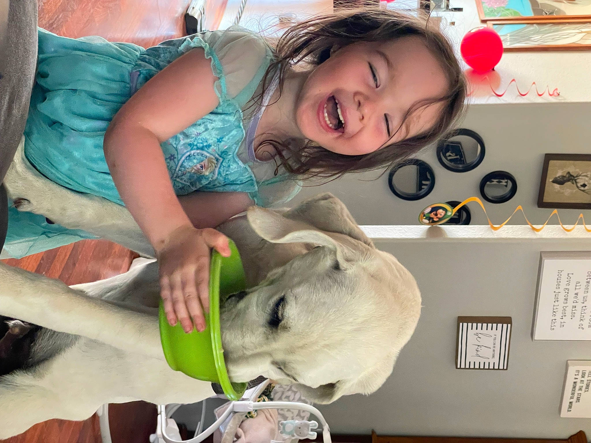 Jax joined the competition — help win amazing prizes! canidae, child, comfort, companion_dog, fun, fur, happy, leisure, linens, plush, room, selfie, smile, sporting_group, stuffed_toy, t_shirt, table, teddy_bear, toddler