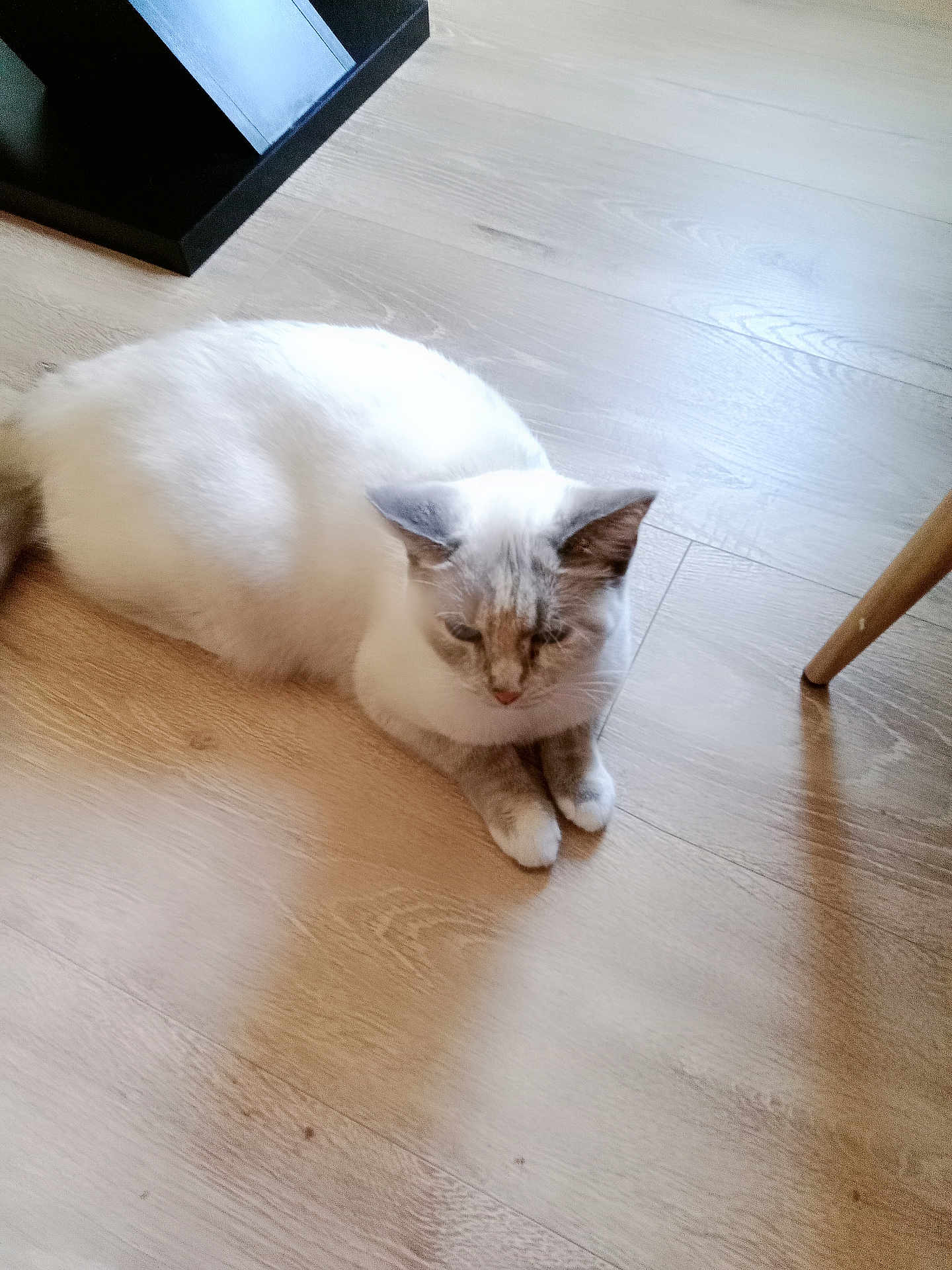 Nala