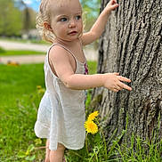 Patience is registered to the contest to win money with this photo: toddler, child, tree, nature, grass, dandelion, outdoor, barefoot, dress, curly_hair, greenery, summer, exploration, young_child, portrait, daylight, skin, flower, person, closeup