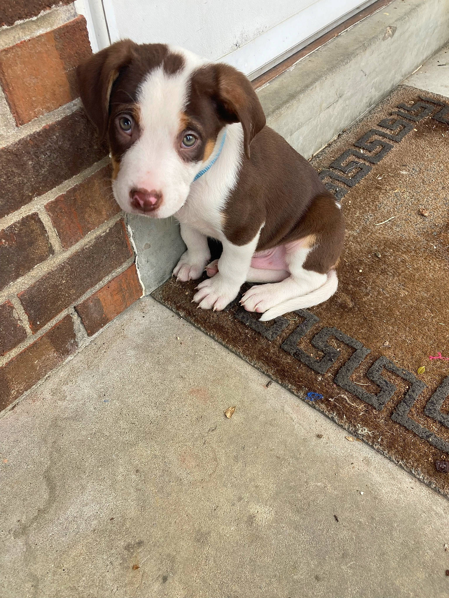 Oakley