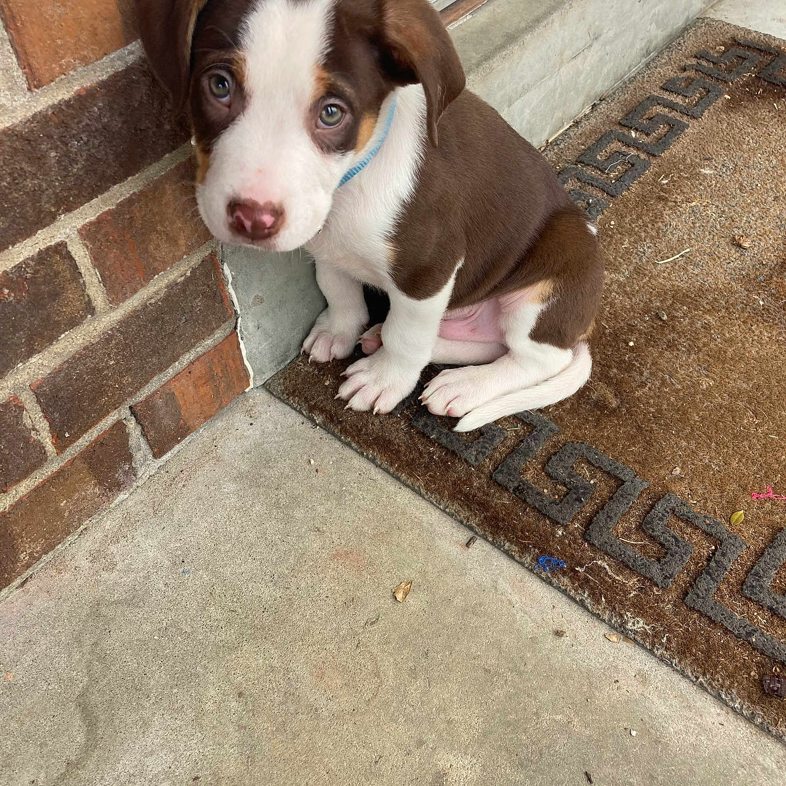 Oakley