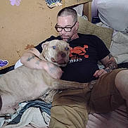 Gotti joined the competition — help win amazing prizes! man, person, dog, large_dog, pet, owner, human_animal_bond, cuddling, sitting, lying_down, bed, bedroom, pillows, blanket, clothing, glasses, tattoos, black_shirt, indoor, portrait