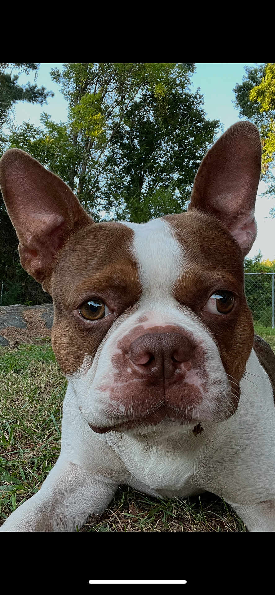 Cash