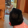 animal, background, black_dog, carpet, companion, cozy, curious, cute, dog, door, floor, furniture, home, indoor, large_ears, pet_clothing, small_dog, unicorn_outfit, white_dog, wooden_chair