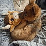Cinnamon is registered to the contest to win money with this photo: puppy, dog, stuffed_animal, plush_toy, blanket, fur, cute, cozy, indoors, soft_texture, brown, close_up, pet, animal, nuzzling, toy, resting, comfort, relaxation, warmth
