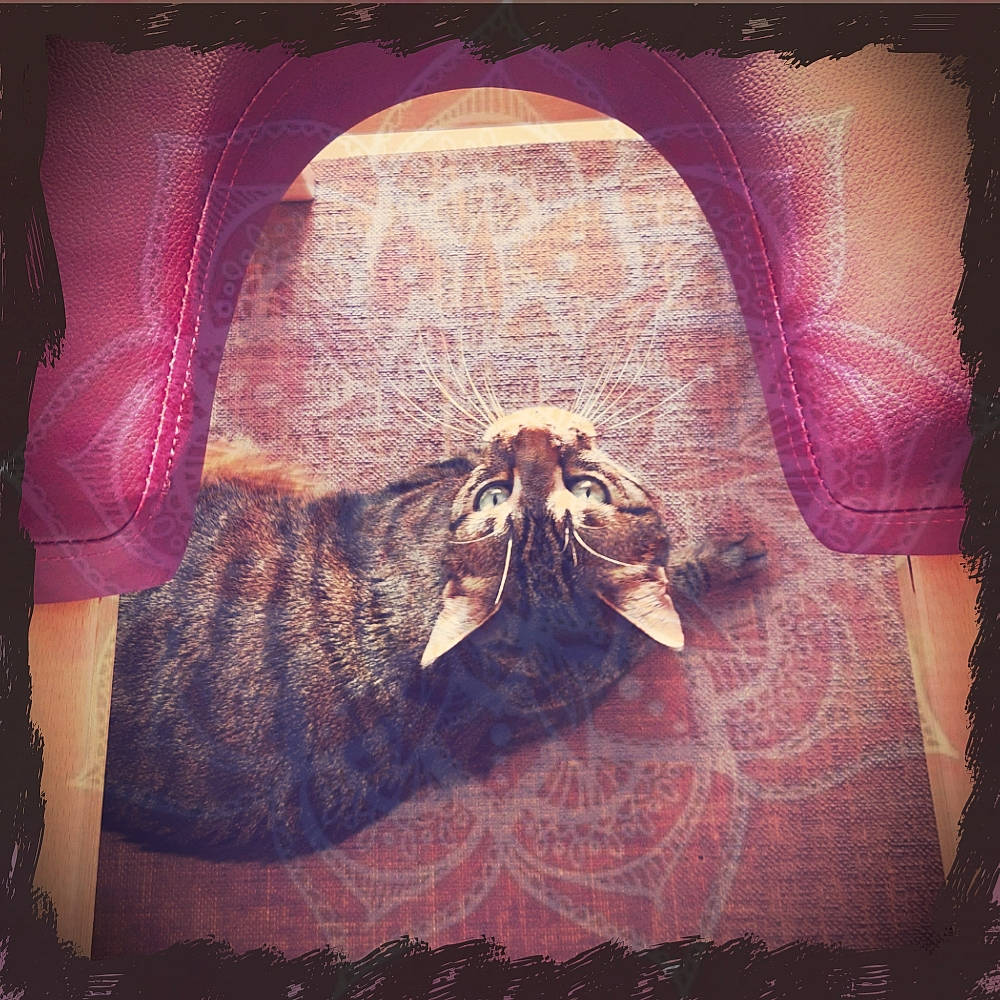 Nanoük participe au concours pour gagner de l'argent avec cette photo : art, flesh, illustration, jaw, magenta, organism, painting, pink, square, textile, tints_and_shades, visual_arts