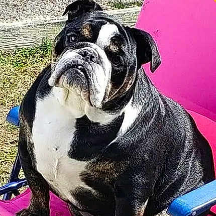 Princess Penelope
