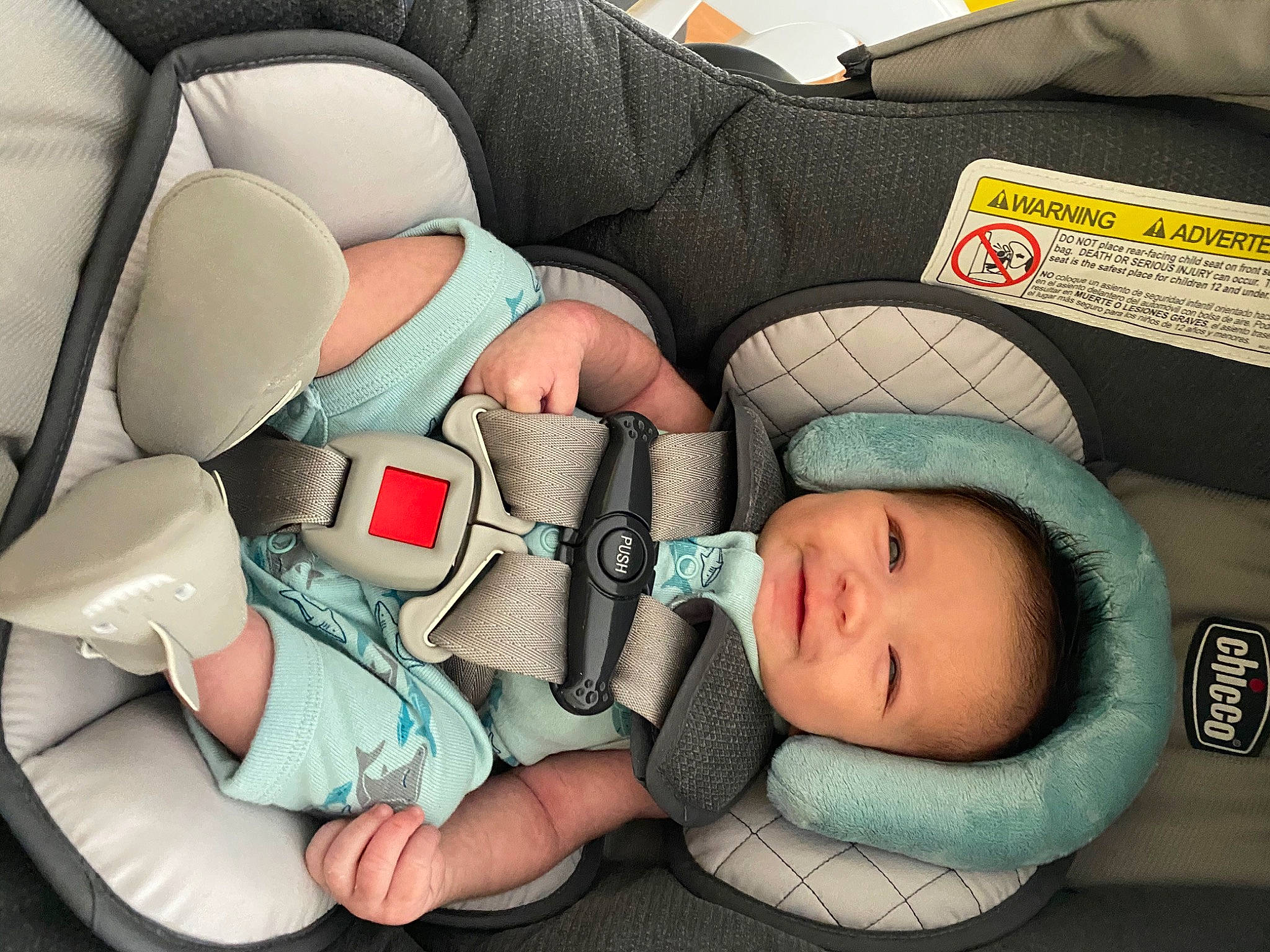 Edward joined the competition — help win amazing prizes! auto_part, baby, baby_in_car_seat, baby_products, birth, car_seat, car_seat_cover, child, comfort, leg, nap, person, product, sleep, toddler