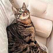 Pablito participe au concours pour gagner de l'argent avec cette photo :