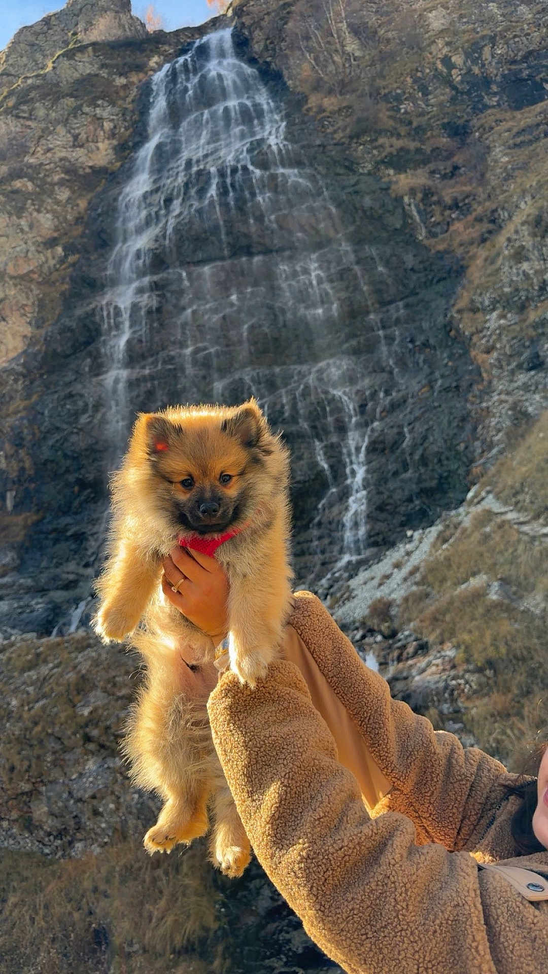 Simba a rejoint le concours — aidez-le/la à gagner de superbes lots ! puppy, dog, waterfall, mountain, rock, fur, red_harness, person, hand, jacket, outdoor, nature, scenery, animal, pet, cute, fluffy, holding, winter_clothing, landscape