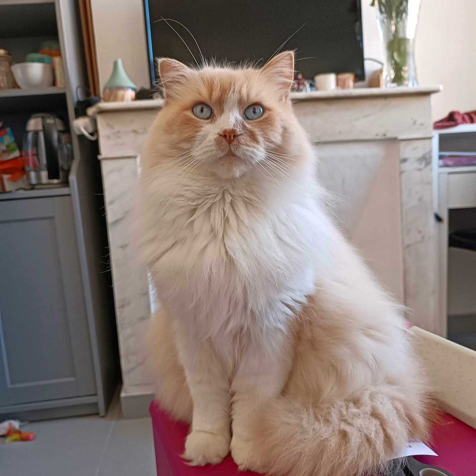 Léo