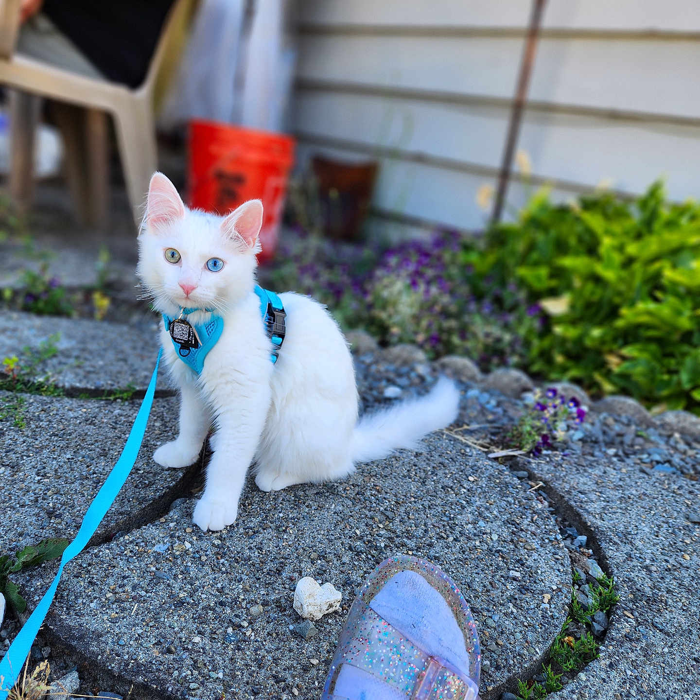 Finnegan