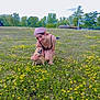 Chica joined the competition — help win amazing prizes! woman, dog, field, yellow_flowers, grass, outdoor, smiling, headscarf, pet, nature, trees, sky, happy, crouching, summer, park, casual, greenery, animal, portrait