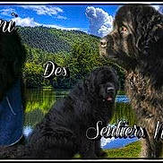 Giovani Des Sentiers Normands a rejoint le concours — aidez-le/la à gagner de superbes lots !