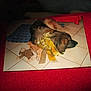 Pressurot participe au concours pour gagner de l'argent avec cette photo :