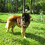 Pressurot participe au concours pour gagner de l'argent avec cette photo :