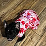 dog, black_dog, pet, clothing, dress, pink, bow, red_flowers, floor, wooden_floor, cute, animal, indoor, looking_up, ears_up, canine, adorable, small_dog, playful, smiling