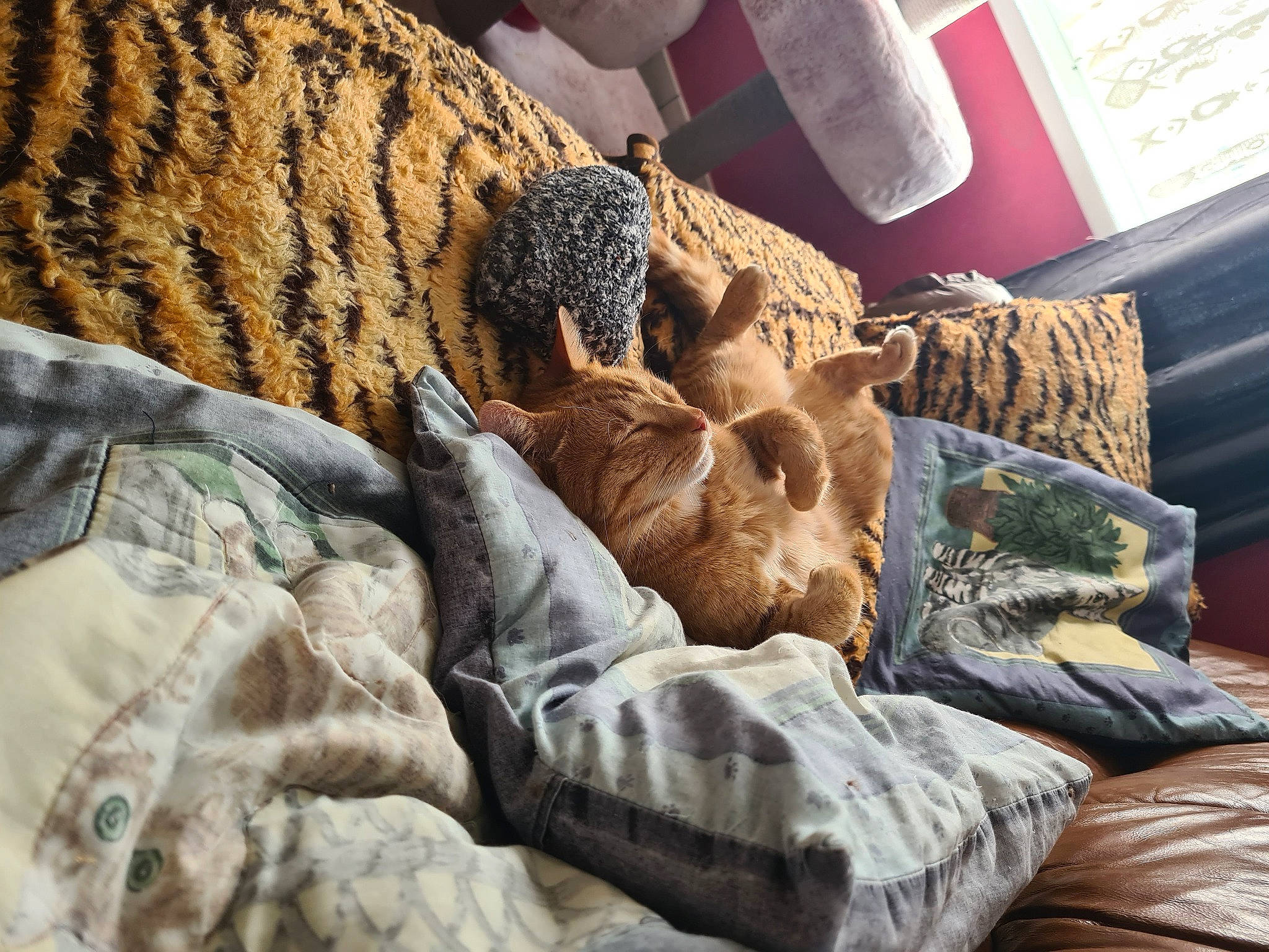 Filou participe au concours pour gagner de l'argent avec cette photo : bed_sheet, bedding, bedroom, blanket, comfort, duvet, felidae, fur, linens, nap, pattern, rock, room, small_to_medium_sized_cats, textile, thread, toy, wood, wool