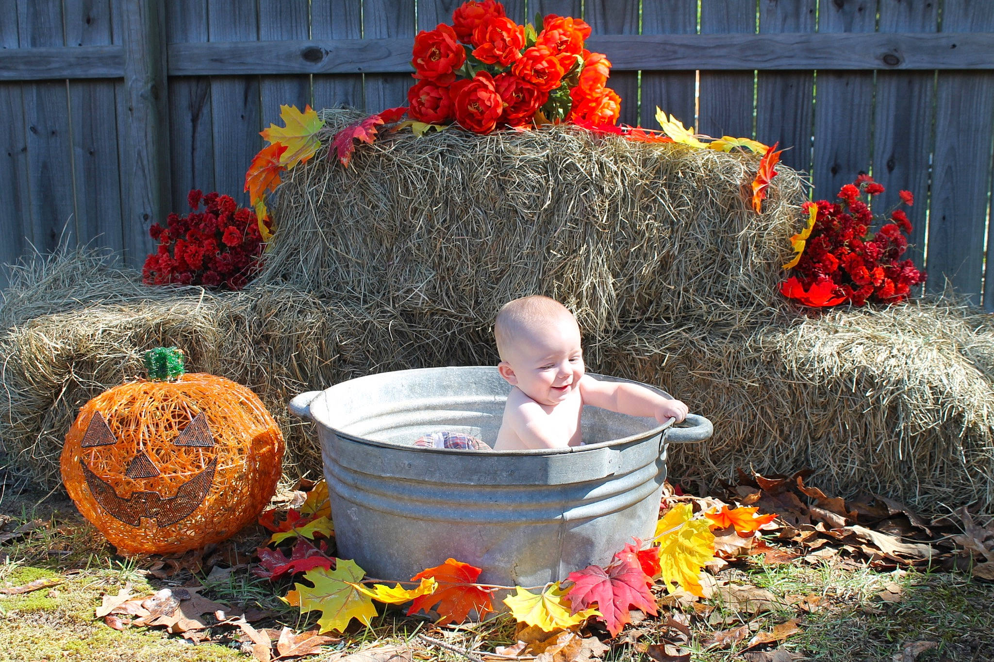 Ryder is registered to the contest to win money with this photo: autumn, flower, flowerpot, joy, leaf, person, plant, pumpkin, tree, winter_squash