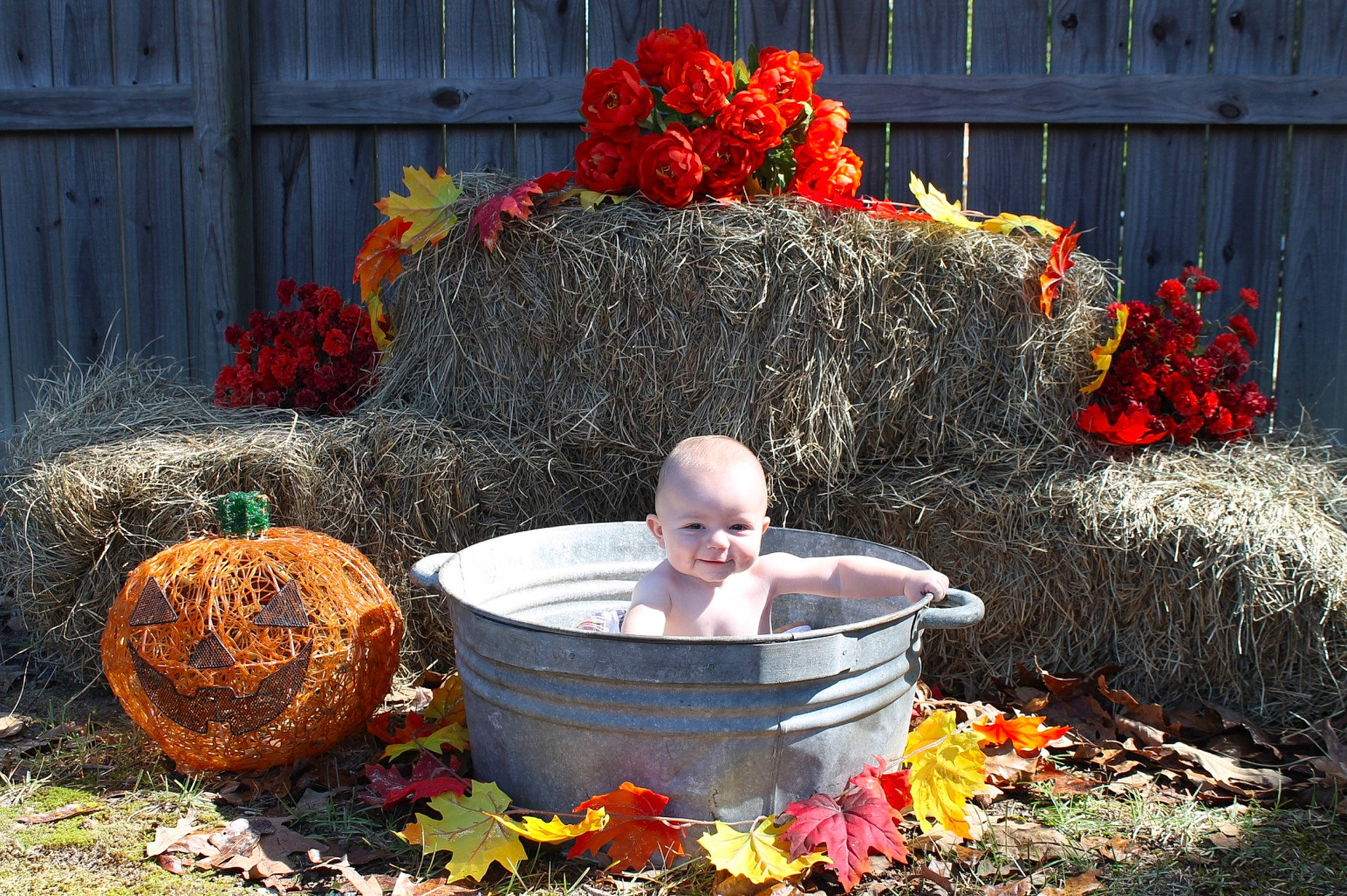 Ryder is registered to the contest to win money with this photo: autumn, flower, flowerpot, joy, leaf, person, plant, pumpkin, tree, water_feature, winter_squash