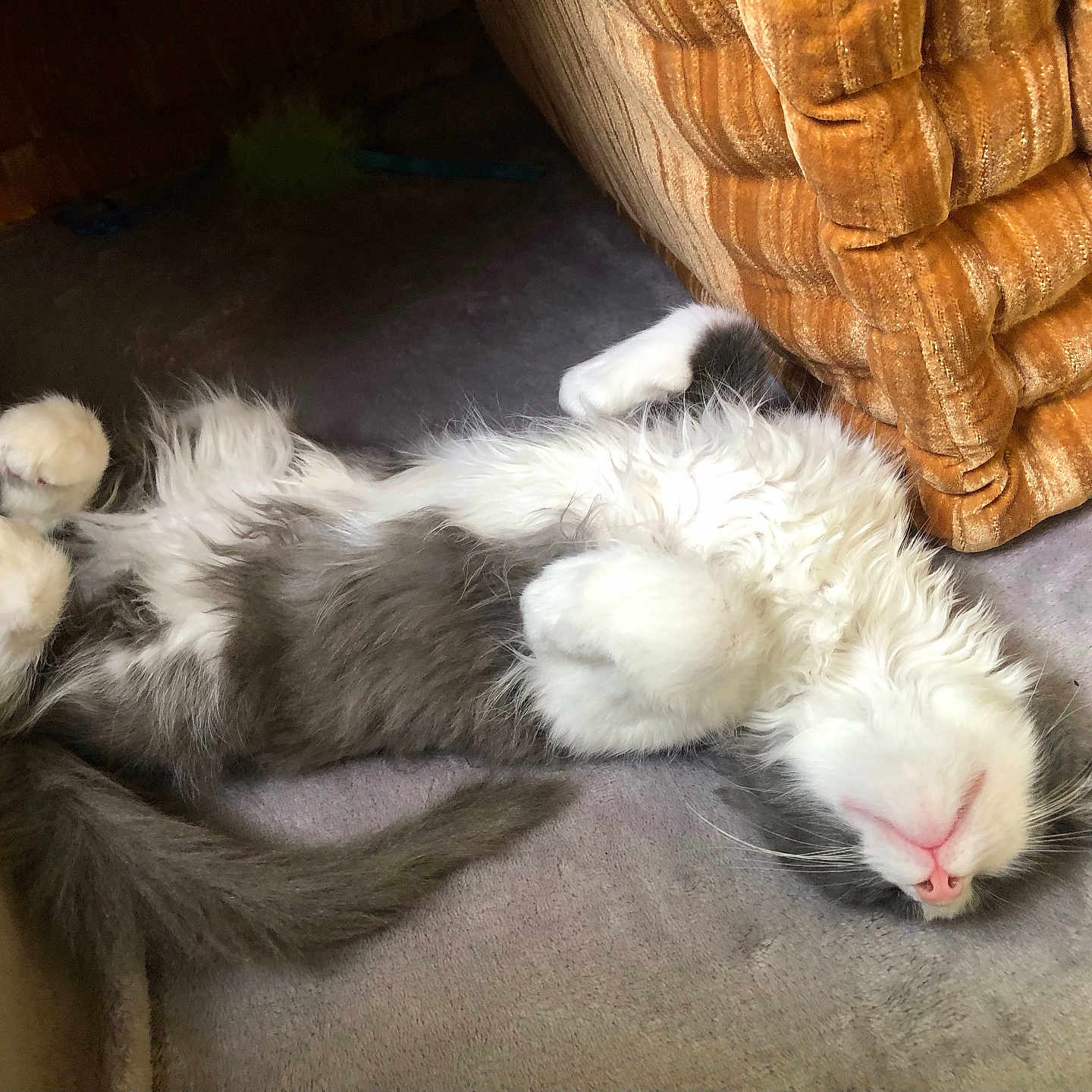 Merlin