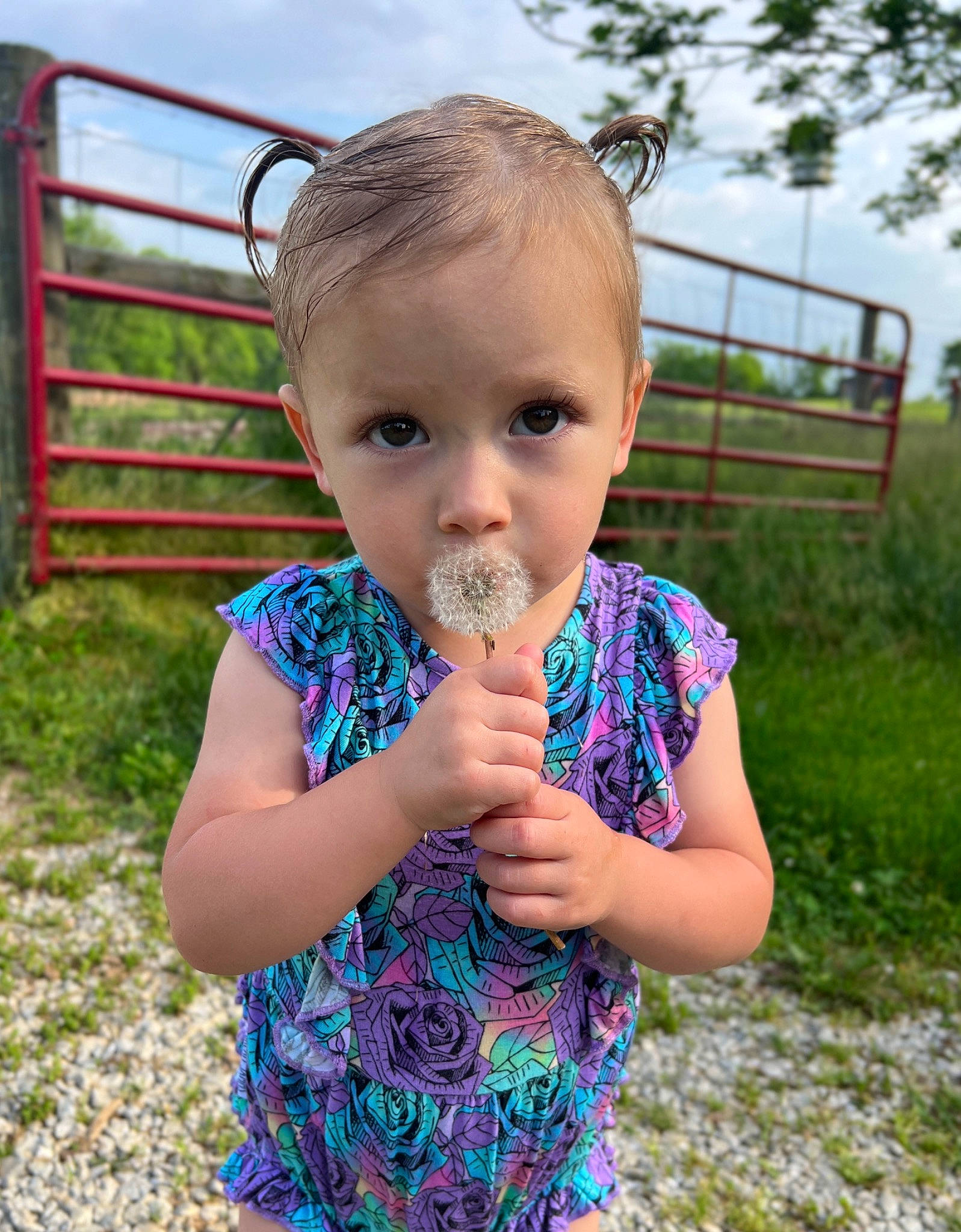 Luciana joined the competition — help win amazing prizes! baby, baby_toddler_clothing, child, cloud, fun, gesture, grass, grass_family, grassland, hair, happy, leisure, pattern, people, people_in_nature, person, plant, sky, summer, thumb