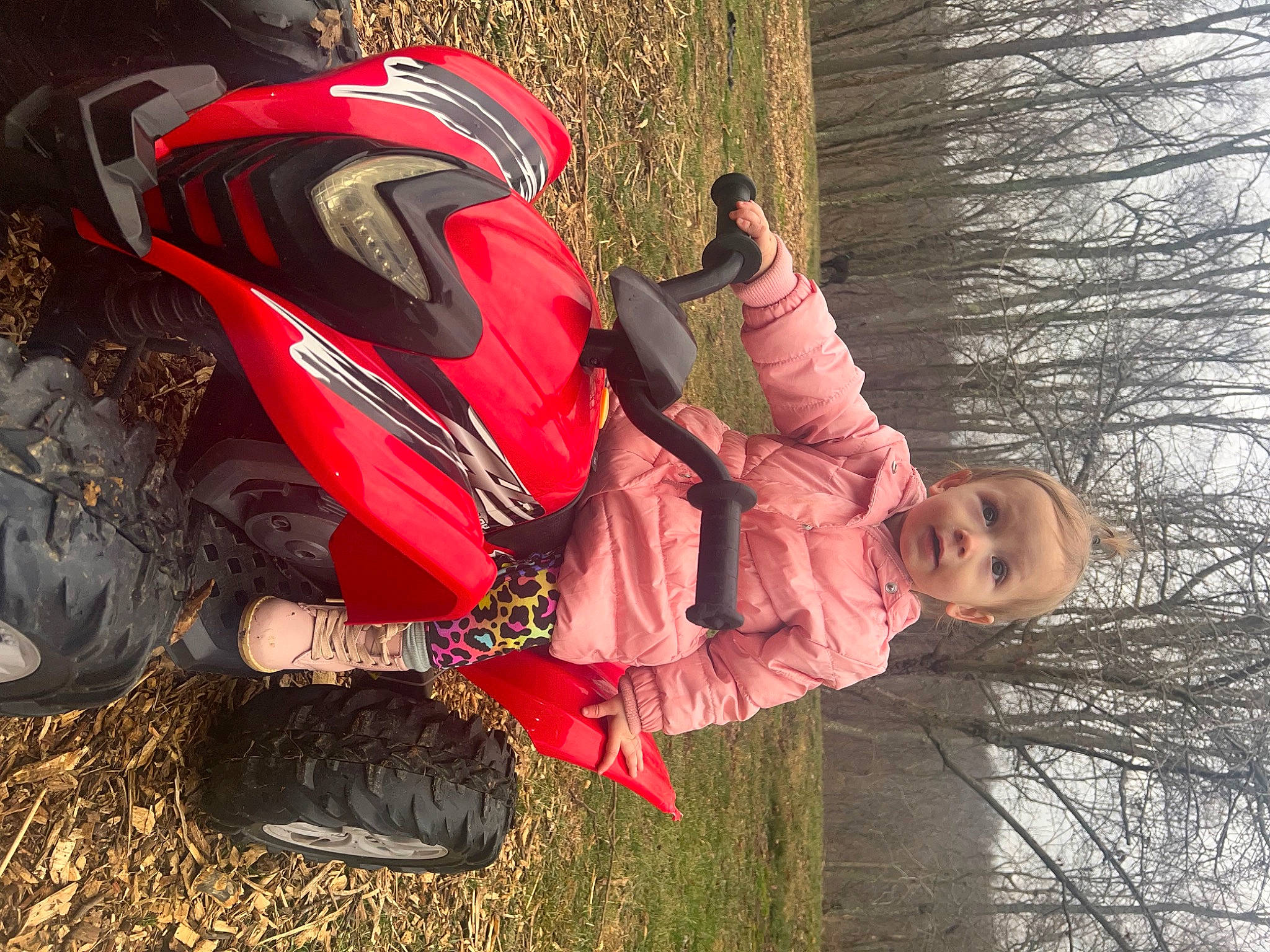 Luciana Avalene is registered to the contest to win money with this photo: baby, backpack, bag, carmine, child, fun, grass, happy, leisure, luggage_and_bags, organism, people_in_nature, person, personal_protective_equipment, plant, sitting, soil, tints_and_shades, toddler, tree