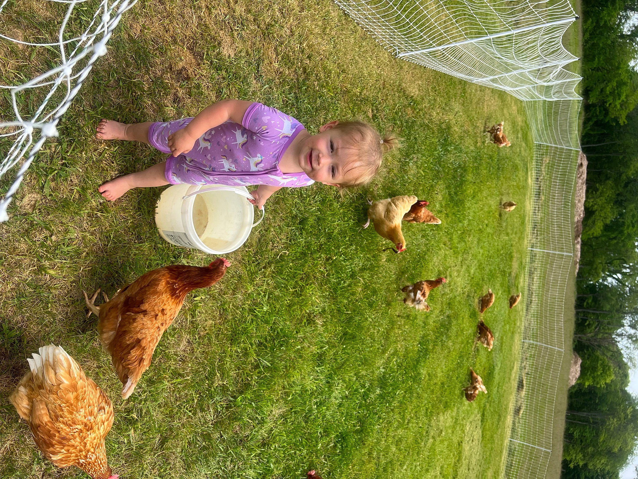 Luciana Avalene joined the competition — help win amazing prizes! fun, garden, grass, grass_family, grassland, green, happy, joy, landscape, lawn, leisure, organism, pasture, people_in_nature, person, plant, play, recreation, spring, terrestrial_plant