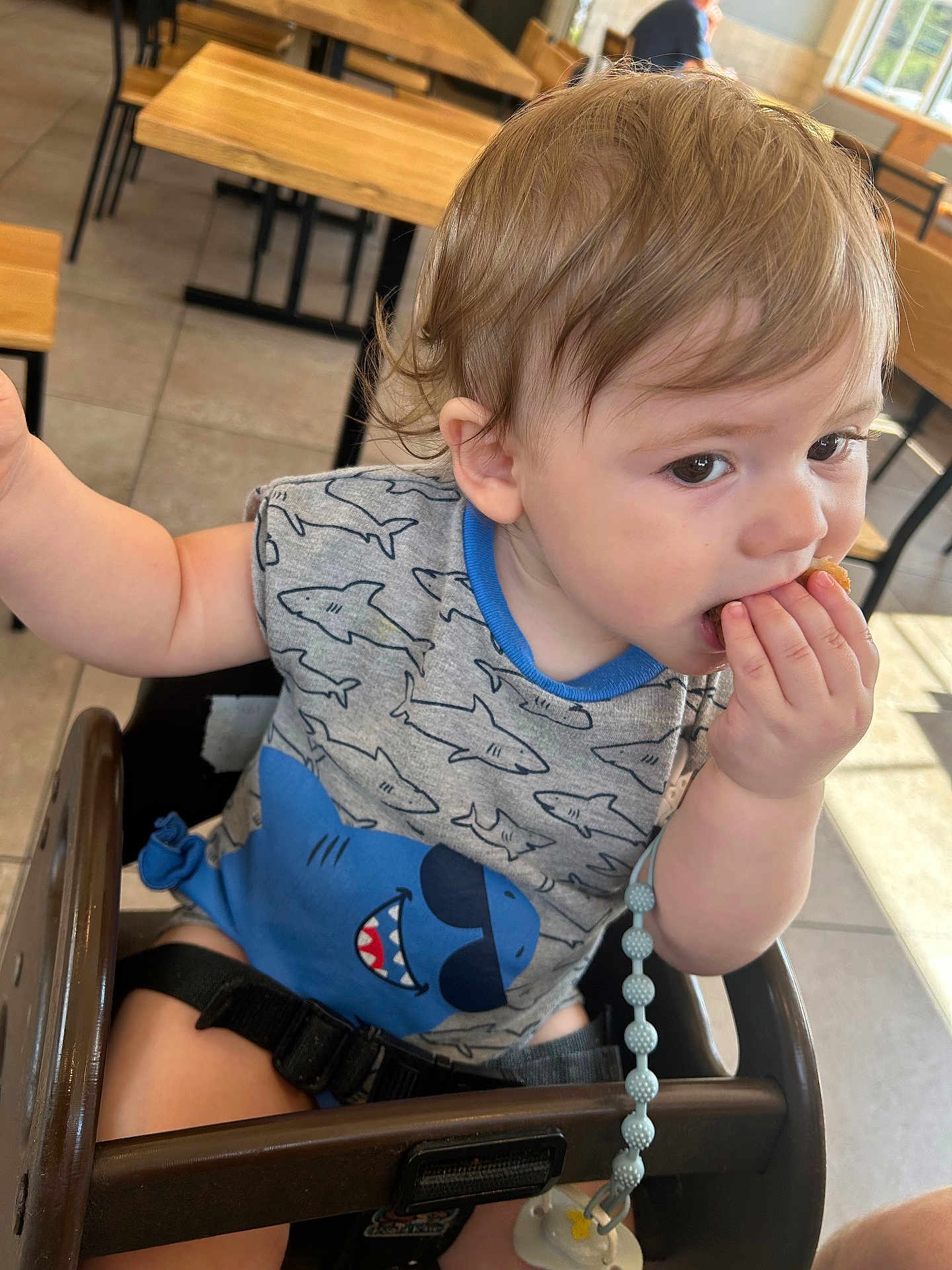Levi is registered to the contest to win money with this photo: toddler, child, high_chair, eating, snack, shirt, shark_pattern, indoor, restaurant, wooden_table, wooden_chair, curly_hair, pacifier_clip, floor_tile, person, casual_clothing, baby, seatbelt, daylight, cute