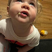 Levi joined the competition — help win amazing prizes! toddler, child, face, food, crumbs, curious, looking_up, indoor, floor, wooden_floor, toy, yellow_toy, white_shirt, hand, mouth, hair, expression, candid, closeup, person