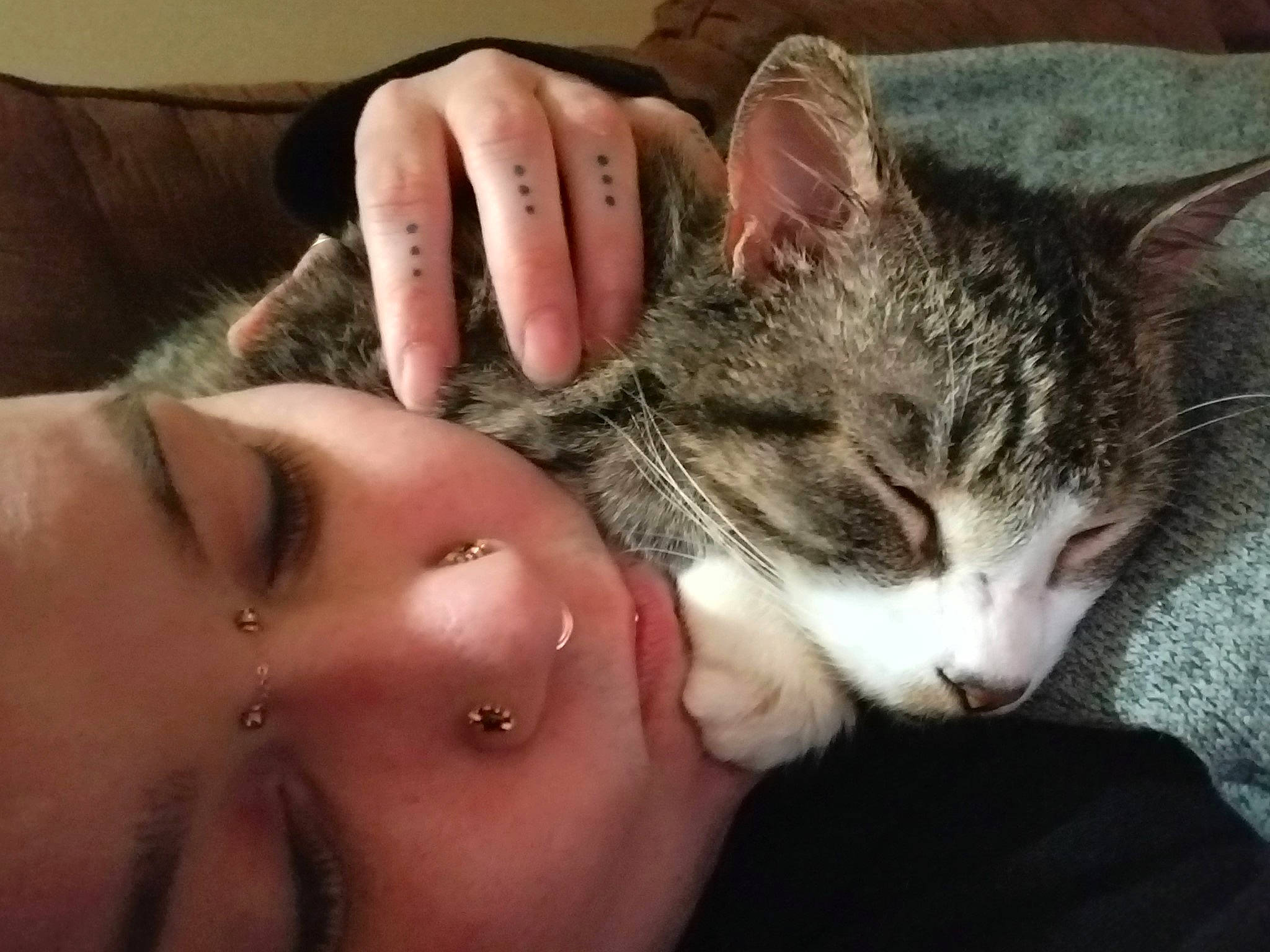 Ned is registered to the contest to win money with this photo: cat, cheek, close_up, domestic_short_haired_cat, ear, european_shorthair, eye, felidae, fur, hand, head, kitten, mouth, nose, organ, skin, small_to_medium_sized_cats, snout, tabby_cat, whiskers