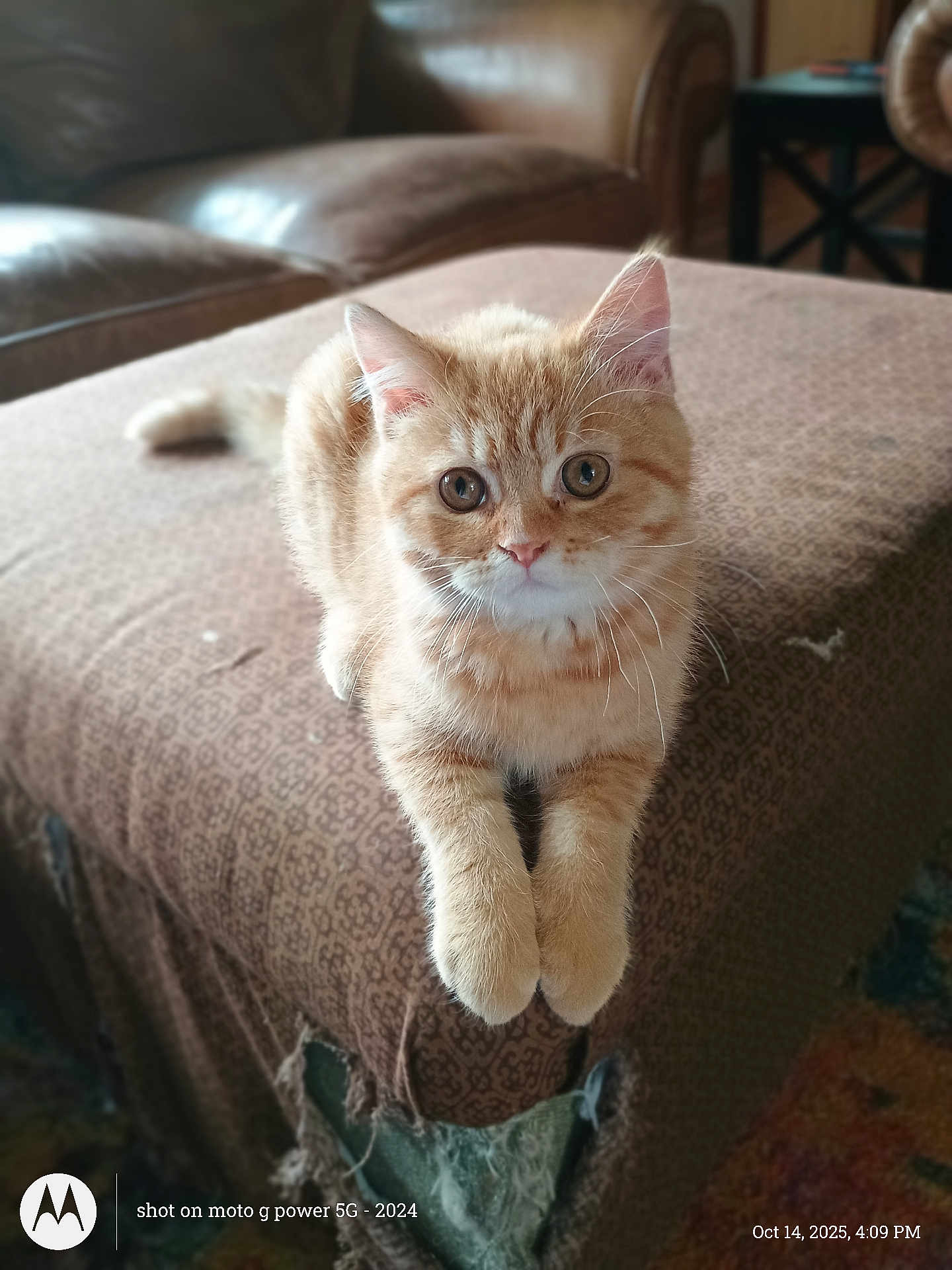 Max