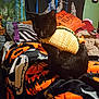 Milo joined the competition — help win amazing prizes! animal, bed, black, black_cat, blanket, cat, costume, cozy, crochet, cute, decor, feline, halloween, indoor, orange, pet, pillow, pumpkin, taco, tapestry