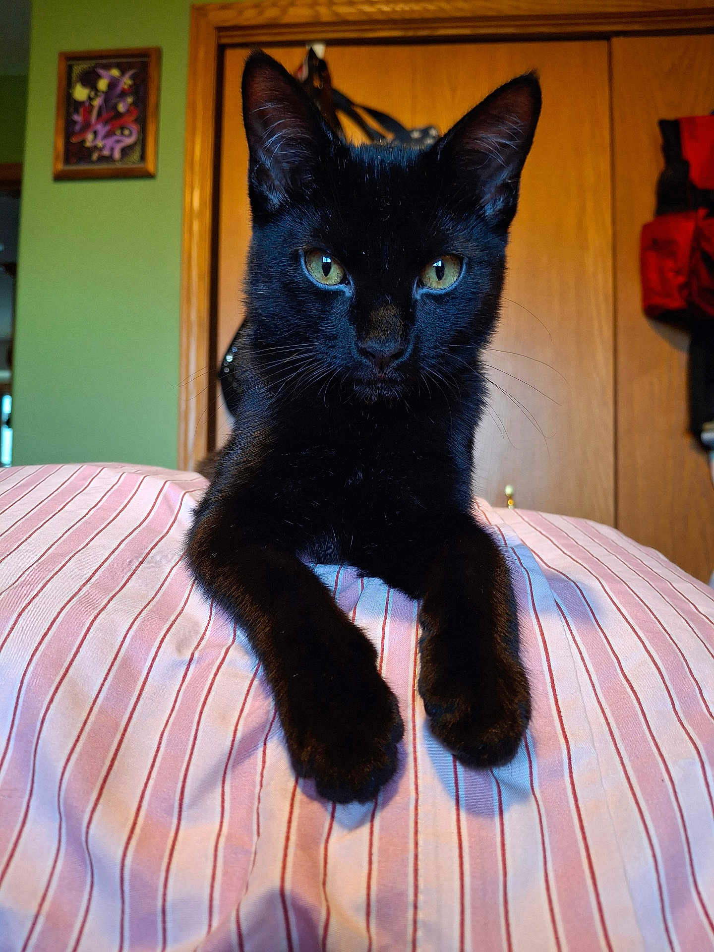 Milo