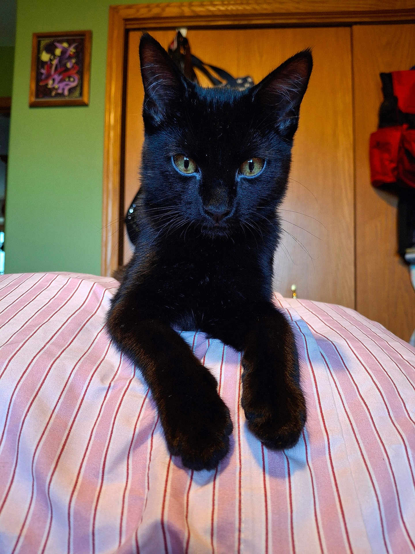 Milo