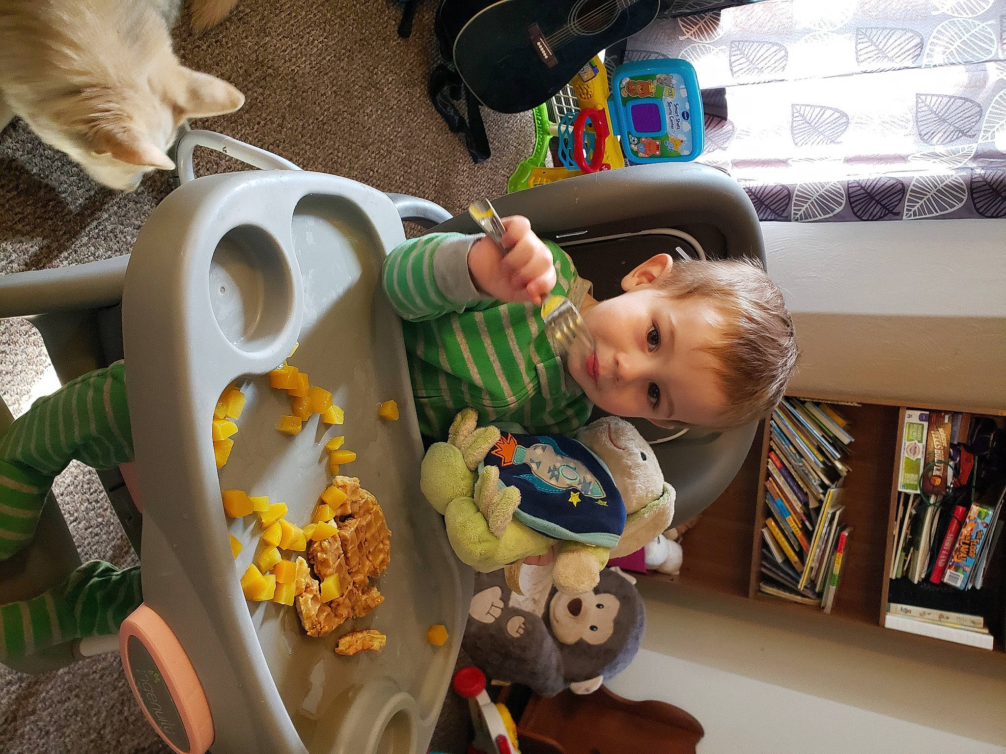 Brantley joined the competition — help win amazing prizes! baby, baby_products, baby_toddler_clothing, baby_toys, bookcase, chair, child, eye, flooring, fun, happy, person, play, room, sitting, smile, stuffed_toy, textile, toddler, toy