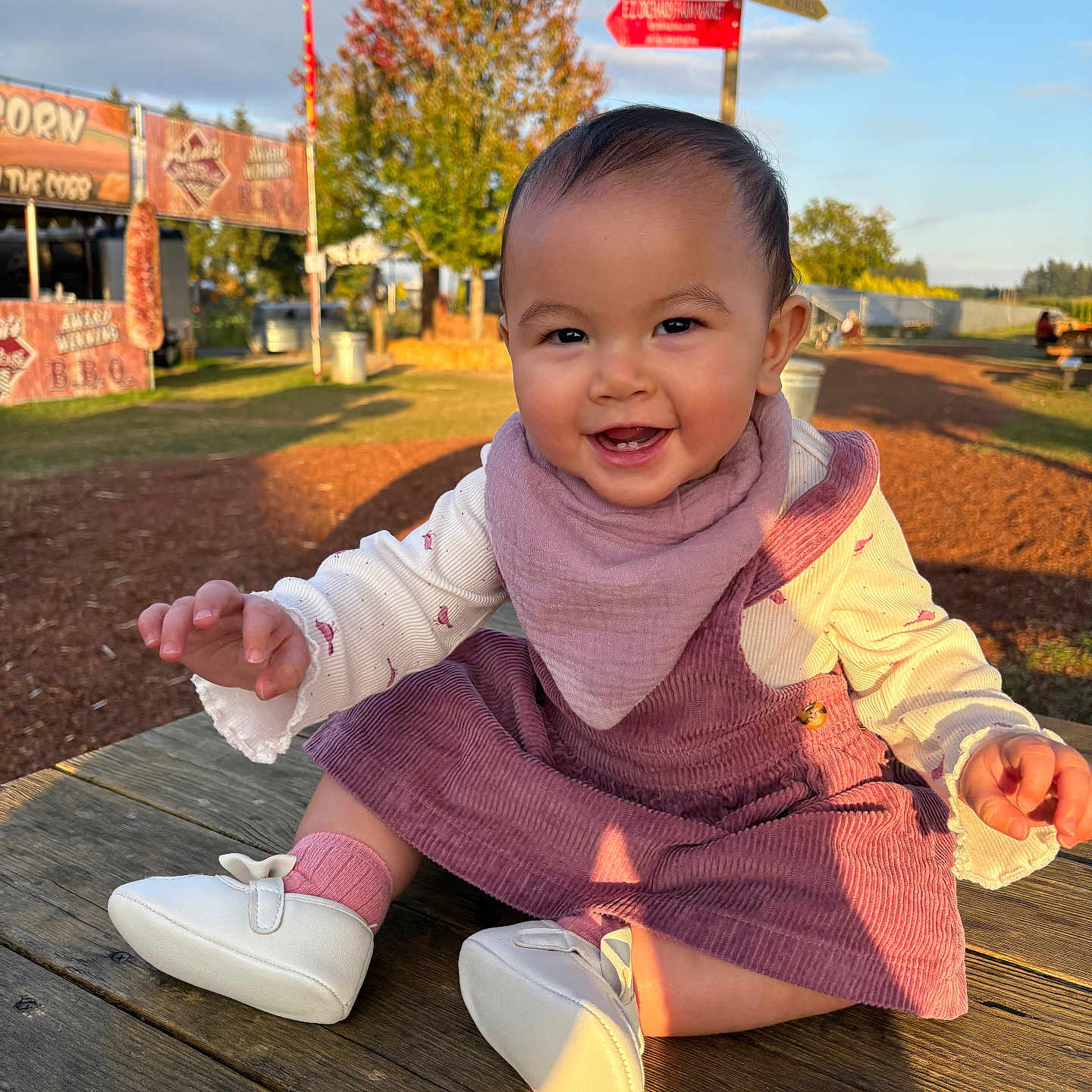 Dasha is registered to the contest to win money with this photo: baby, bib, casual_clothing, child, cute, daylight, grass, happy, infant, nature, outdoor, park, person, pink_dress, signpost, smiling, sunlight, trees, white_shoes, wooden_table