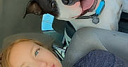 Klein joined the competition — help win amazing prizes! animal, car, casual, collar, daylight, dog, driver, friendship, happy, inside, long_hair, passenger, pet, portrait, seat, seatbelt, smiling, travel, window, woman