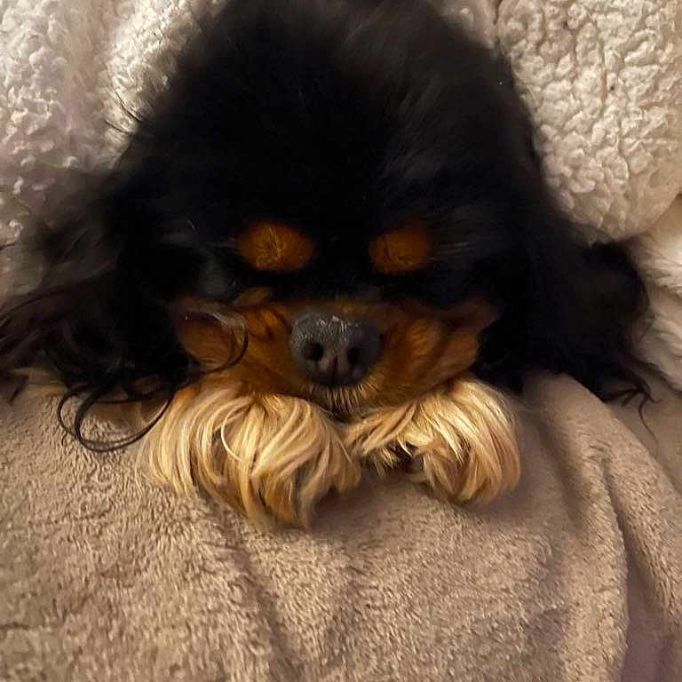 Louna