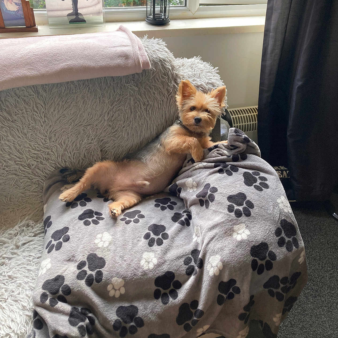Denzil