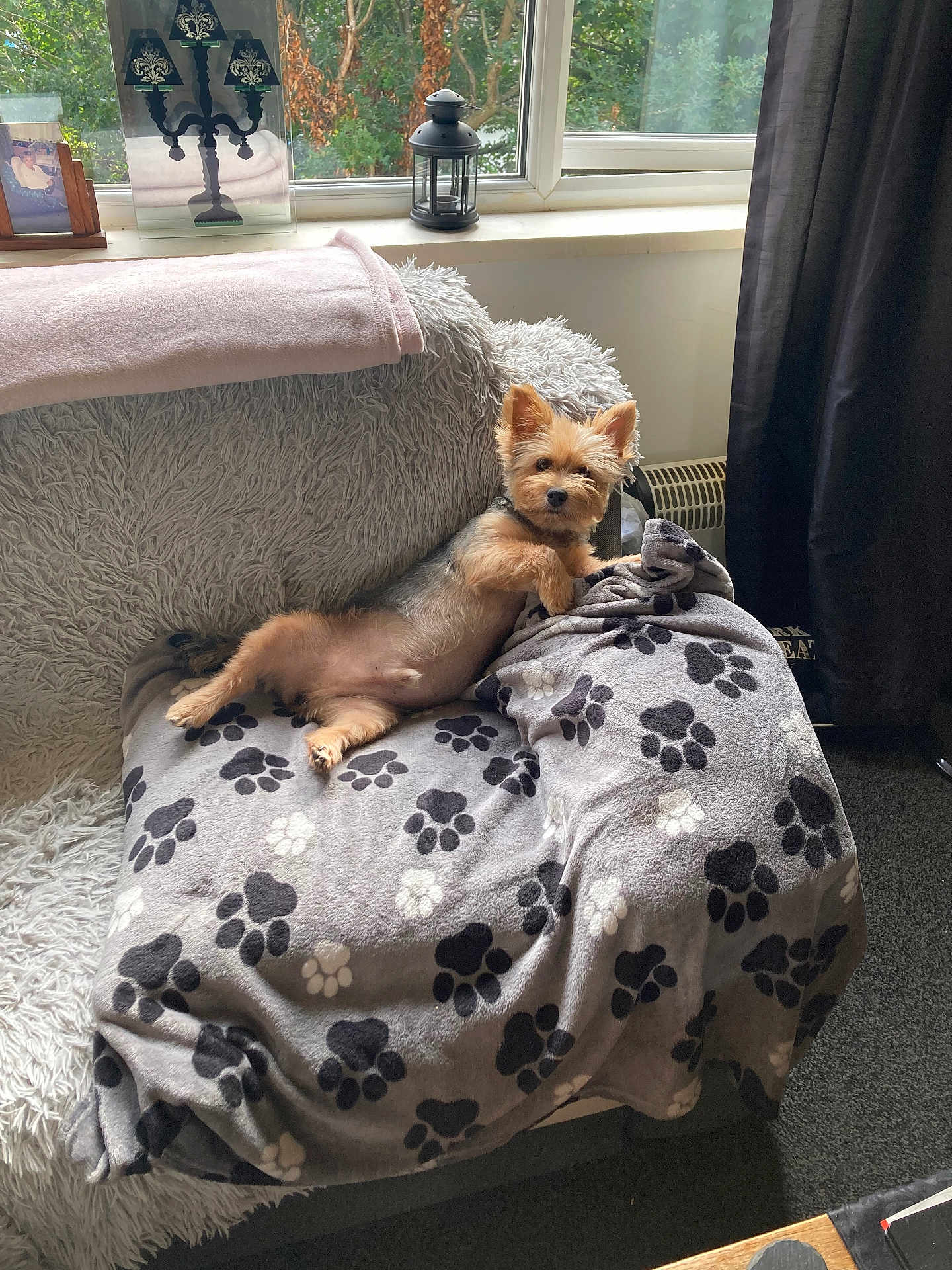 Denzil
