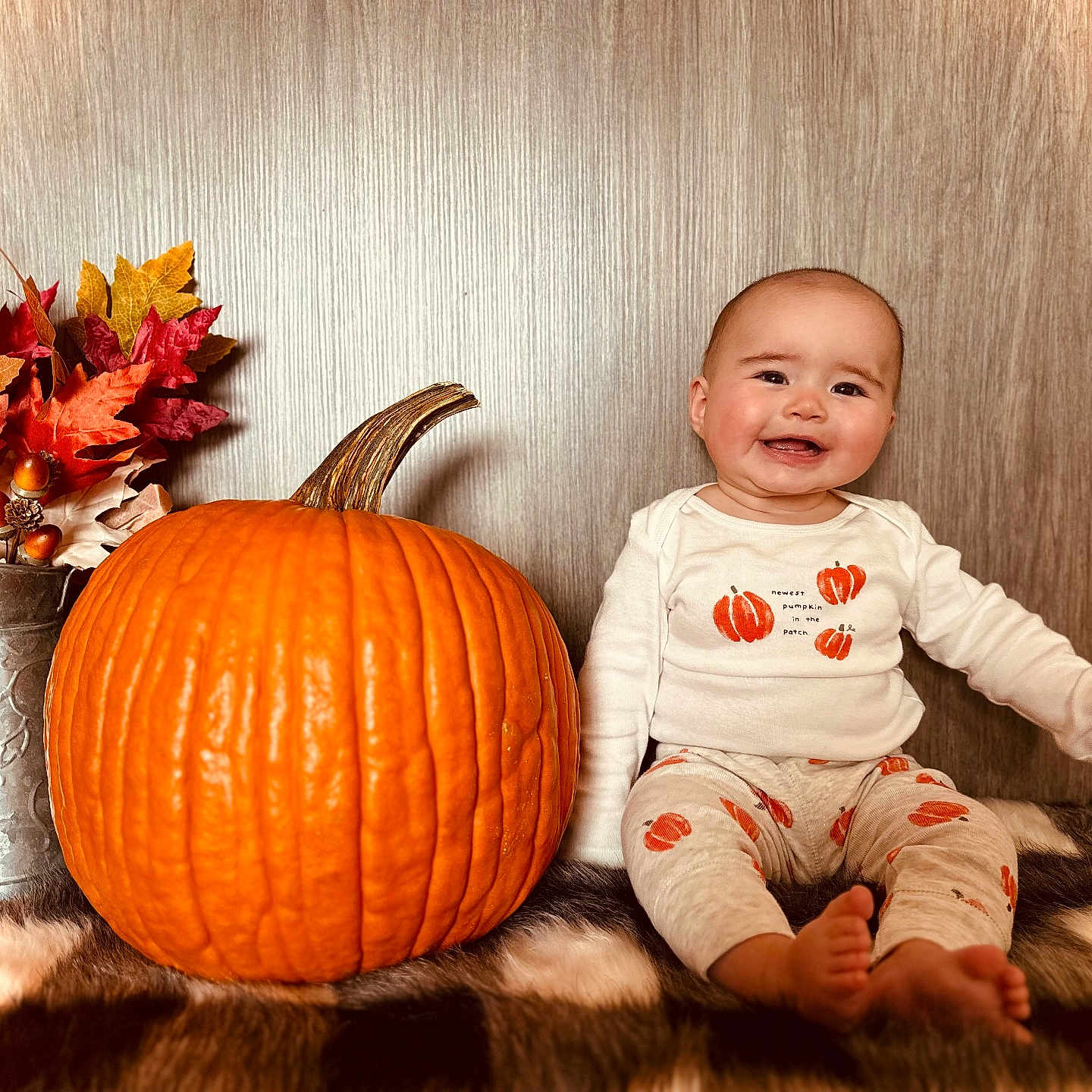Eva is registered to the contest to win money with this photo: animal, baby, canine, dog, face, flower, flowerarrangement, food, happy, head, leaf, person, photography, plant, portrait, pottedplant, produce, pumpkin, squash, vegetable