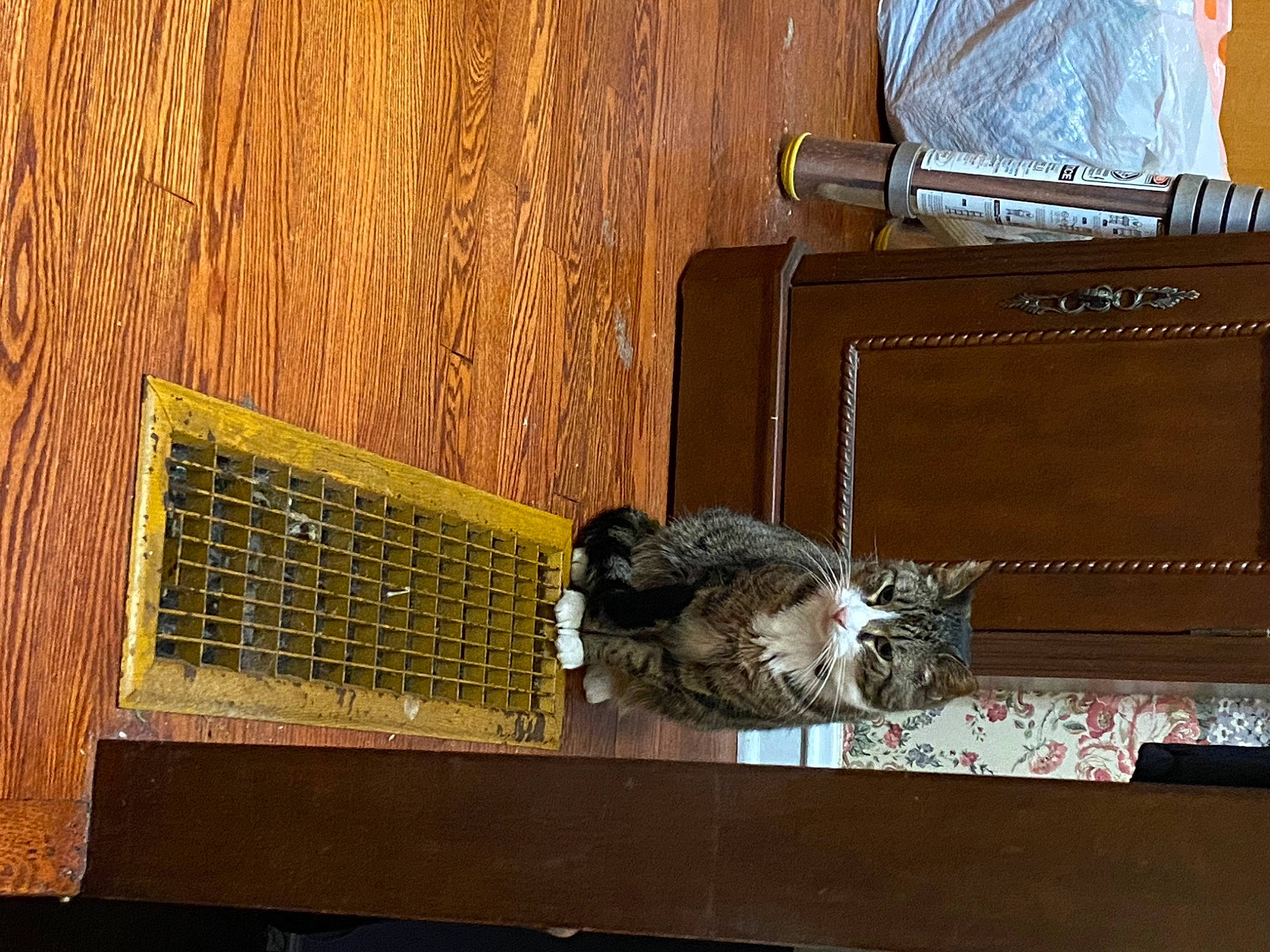 Razzles is registered to the contest to win money with this photo: bag, baggage, cage, carnivore, cat, domestic_short_haired_cat, felidae, flooring, fur, hardwood, luggage_and_bags, mesh, metal, rectangle, room, small_to_medium_sized_cats, tail, whiskers, wood, wood_stain