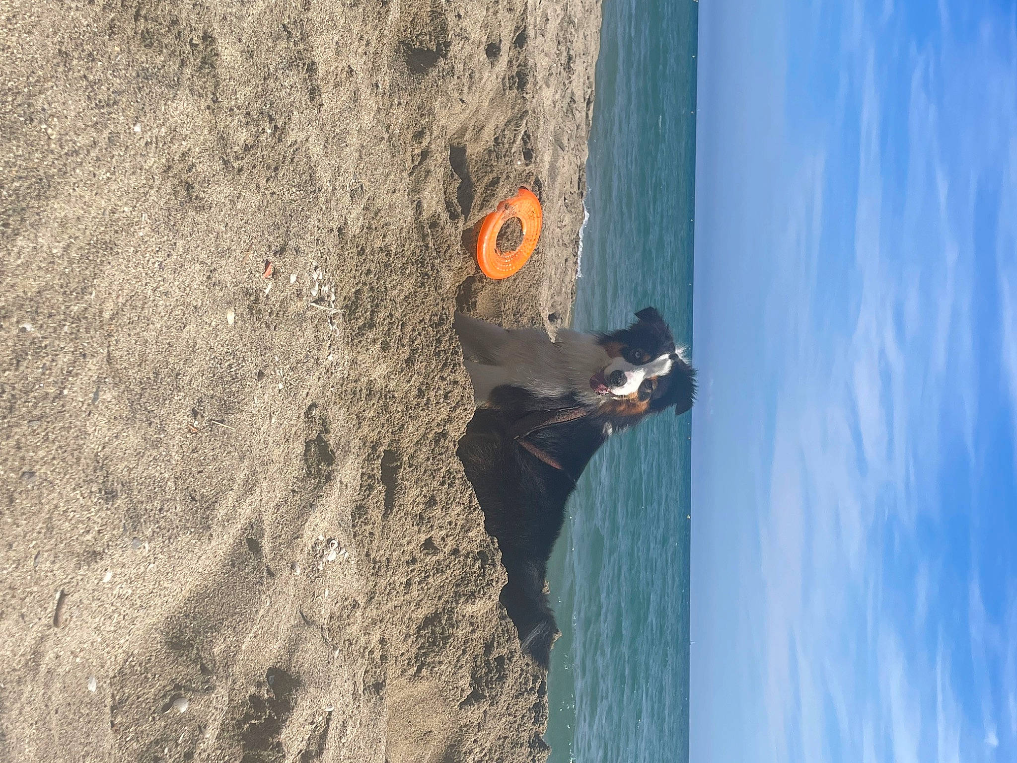 Shaina participe au concours pour gagner de l'argent avec cette photo : adventure, air_sports, beach, body_of_water, coast, extreme_sport, formation, fun, geology, klippe, landscape, leisure, recreation, rock, shadow, sky, slope, terrain, water, wood