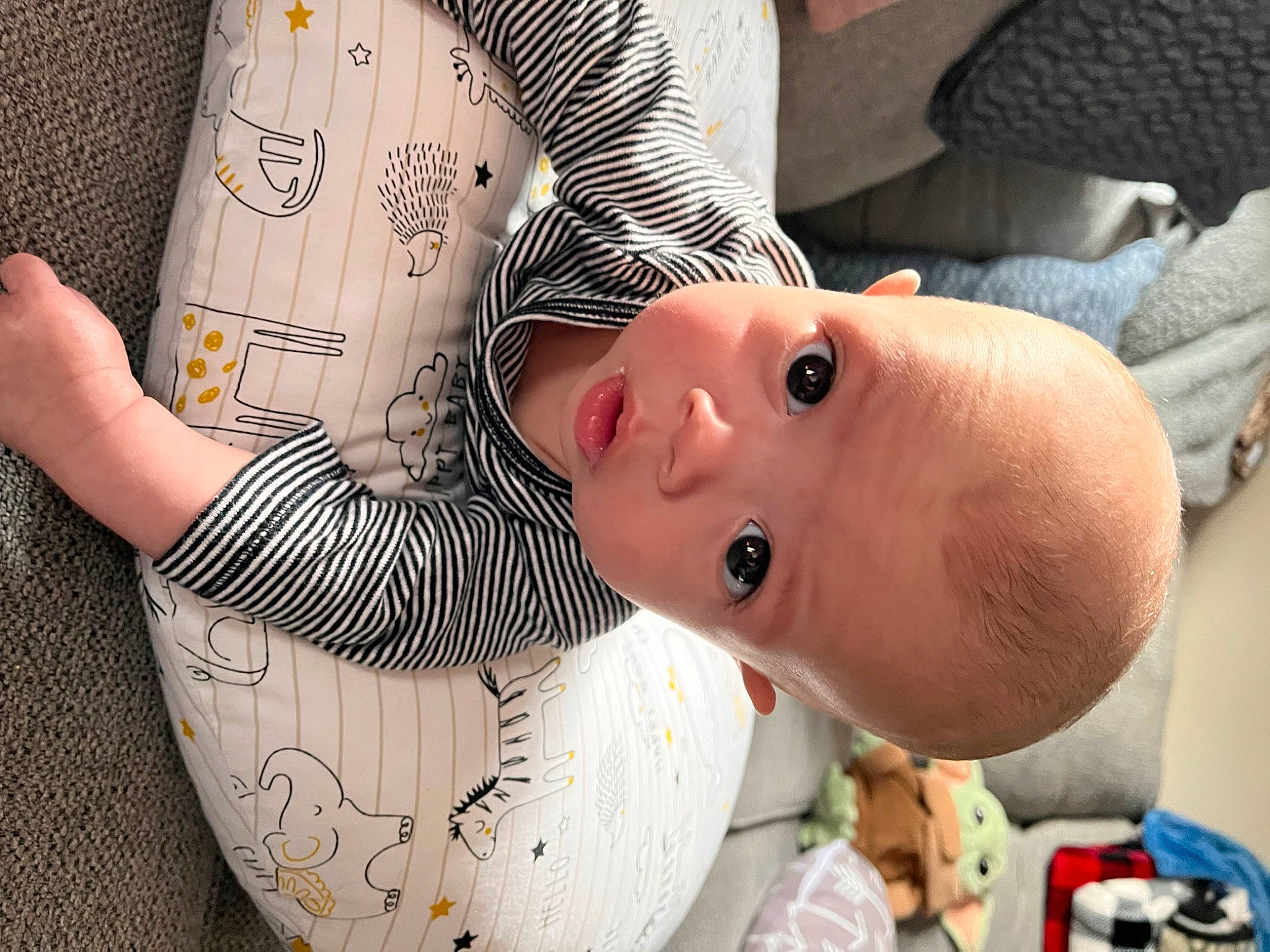 Maverick joined the competition — help win amazing prizes! abdomen, baby, baby_toddler_clothing, cheek, chest, child, comfort, elbow, eyelash, happy, human_body, linens, nail, pattern, person, sitting, skin, sleeve, thigh, toddler