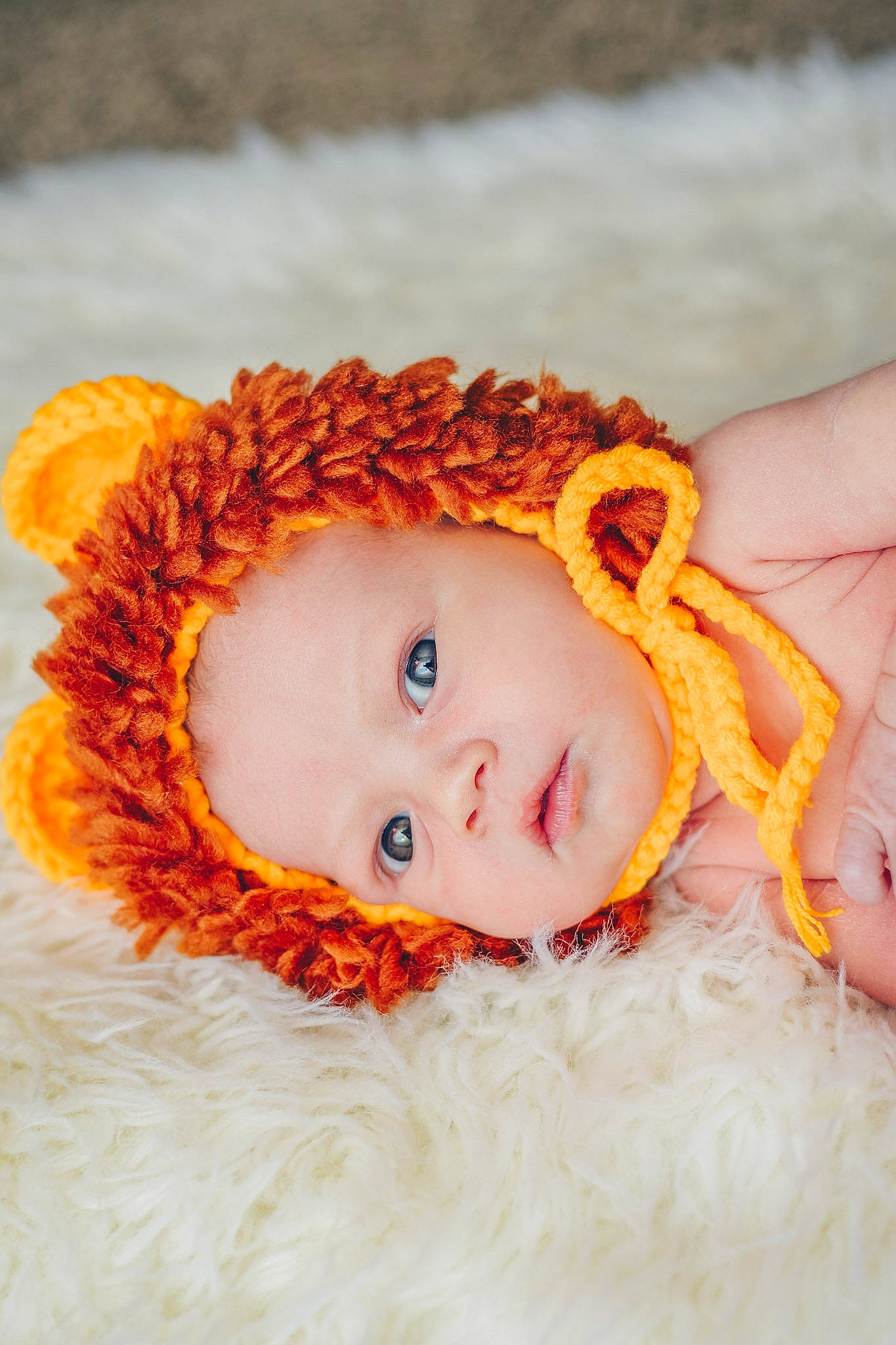 Maverick joined the competition — help win amazing prizes! baby, baby_toddler_clothing, brown_hair, cap, close_up, costume_hat, doll, eye, eyebrow, eyelash, fashion_accessory, fawn, fur, hair_accessory, happy, iris, orange, peach, person, toy