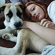 Athéna a rejoint le concours — aidez-le/la à gagner de superbes lots ! dog, puppy, child, girl, couch, leather, hug, pet, indoor, relaxing, friendship, comfort, face, fur, expression, closeup, resting, brown, white, casual