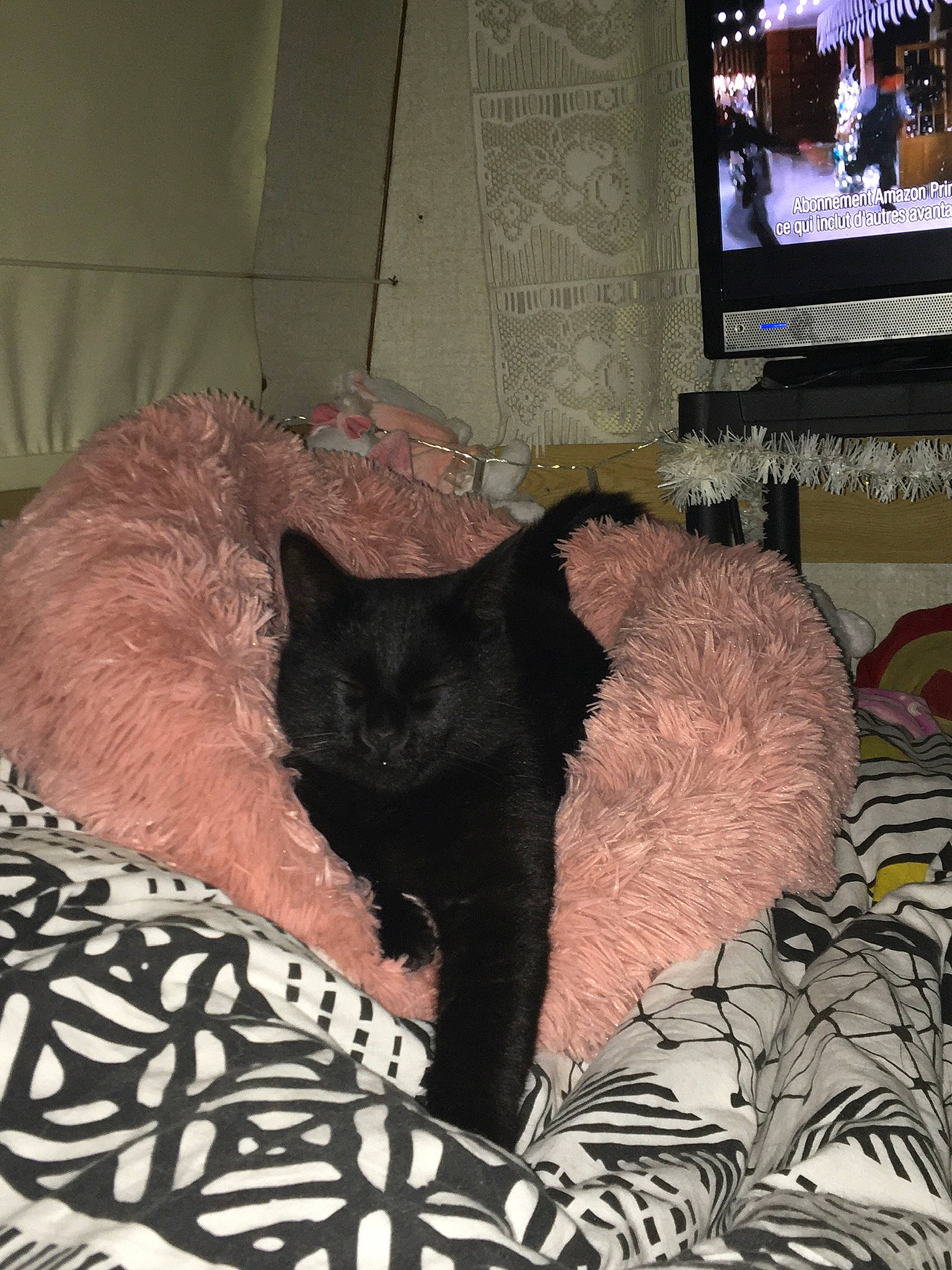 Baguera participe au concours pour gagner de l'argent avec cette photo : black_cat, bombay, cable_television, carnivore, cat, cat_supply, comfort, couch, domestic_short_haired_cat, felidae, floor, fur, grey, interior_design, small_to_medium_sized_cats, tail, television, television_set, terrestrial_animal, whiskers