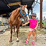 child, horse, animal, helmet, pink_shirt, shorts, reins, farm, outdoor, smiling, dirt_ground, metal_shelter, grass, sky, casual_clothing, footwear, rope, sunlight, young_person, pet